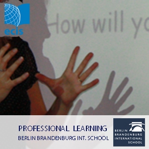 Professional Development